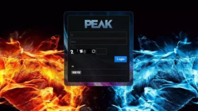 먹튀공유<피크 (PEAK)>